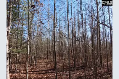 0 Cook Road, Ridgeway, SC 29130 - Photo 35