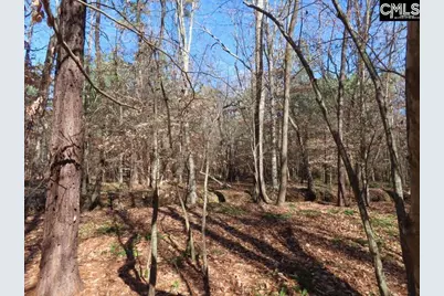 0 Cook Road, Ridgeway, SC 29130 - Photo 47