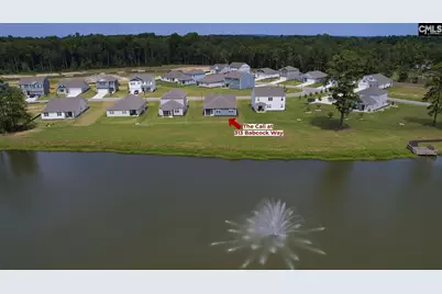 313 Babcock Way, Gilbert, SC 29054 - Photo 3