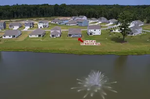 313 Babcock Wy, Gilbert, SC 29054 - Photo 3