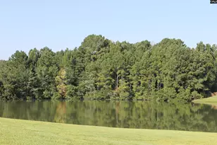 1481 Lost Creek Dr, Columbia, SC 29212 - Photo 41