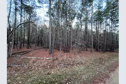 0 Hollands Landing Road #213, Prosperity, SC 29127 - Photo 7