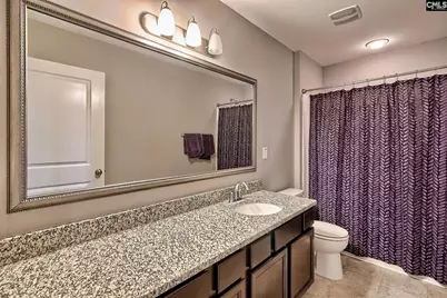 301 Massey Circle, Chapin, SC 29036 - Photo 33