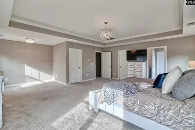 301 Massey Circle, Chapin, SC 29036 - Photo 17