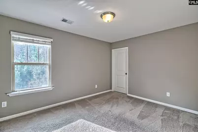 301 Massey Circle, Chapin, SC 29036 - Photo 23
