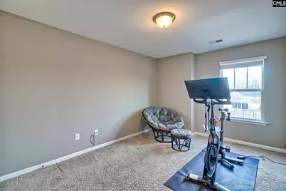 301 Massey Circle, Chapin, SC 29036 - Photo 29