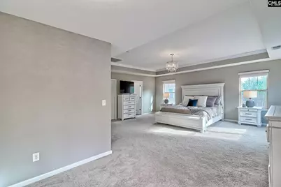 301 Massey Circle, Chapin, SC 29036 - Photo 19