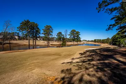 109 High Pointe Drive, Blythewood, SC 29016 - Photo 79