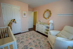 226 Thacher Loop, Elgin, SC 29045 - Photo 51