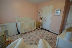 226 Thacher Loop, Elgin, SC 29045 - Photo 51