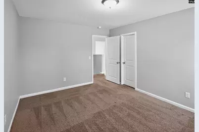371 Explorer Drive, Chapin, SC 29036 - Photo 15