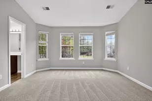 101 S Brassfield Ct, Irmo, SC 29063 - Photo 19