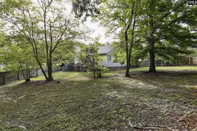 101 S Brassfield Court, Irmo, SC 29063 - Photo 37