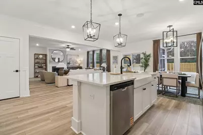 590 Griffon Drive, Chapin, SC 29036 - Photo 7