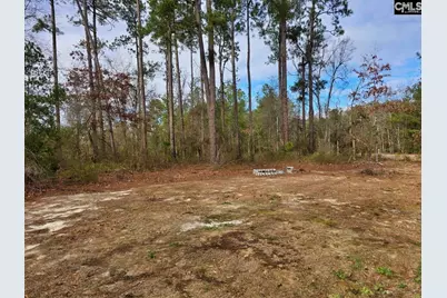 1014 Hull Lane, Williston, SC 29853 - Photo 15