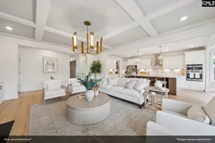 414 Rising Stream Wy, Chapin, SC 29036 - Photo 3