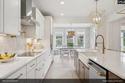 414 Rising Stream Way, Chapin, SC 29036 - Photo 11