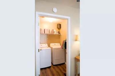 132 Ridge Terrace, Lexington, SC 29073 - Photo 19