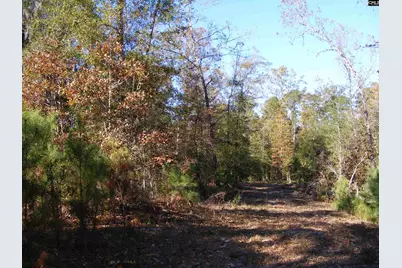 149 Branham Branch Road, Swansea, SC 29160 - Photo 17