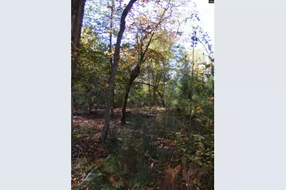 149 Branham Branch Road, Swansea, SC 29160 - Photo 13