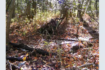 149 Branham Branch Road, Swansea, SC 29160 - Photo 15