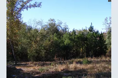 149 Branham Branch Road, Swansea, SC 29160 - Photo 5