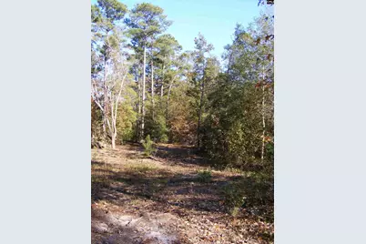 149 Branham Branch Road, Swansea, SC 29160 - Photo 19