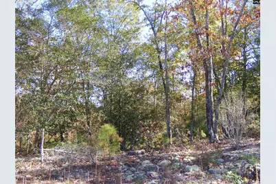 149 Branham Branch Road, Swansea, SC 29160 - Photo 7