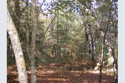 149 Branham Branch Road, Swansea, SC 29160 - Photo 11