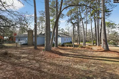 108 Snow Lane, Lexington, SC 29073 - Photo 3