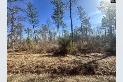 0 Morris Road, Prosperity, SC 29127 - Photo 5