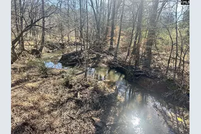 0 Morris Road, Prosperity, SC 29127 - Photo 9