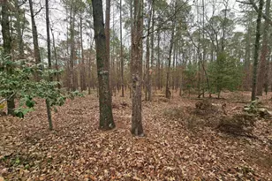 400 Pickens St, Bethune, SC 29009 - Photo 29