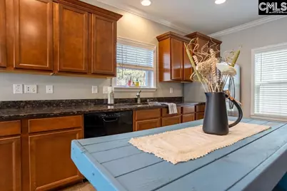 233 Jackstay Court, Chapin, SC 29036 - Photo 9