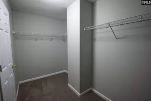 101 Tea Olive Ave, Lexington, SC 29073 - Photo 11