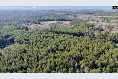 1651 Little Cedar Creek Road, Blythewood, SC 29016 - Photo 15