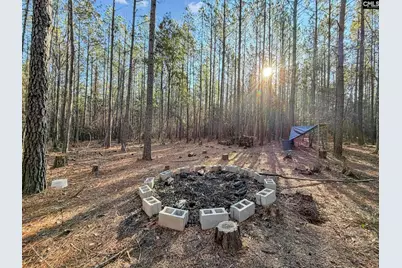 1651 Little Cedar Creek Road, Blythewood, SC 29016 - Photo 5