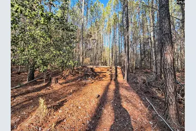 1651 Little Cedar Creek Road, Blythewood, SC 29016 - Photo 1