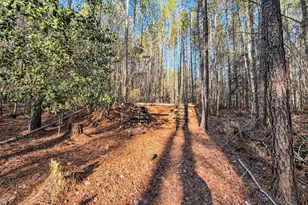 1651 Little Cedar Creek Rd, Blythewood, SC 29016 - Photo 1