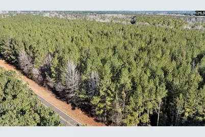 1651 Little Cedar Creek Road, Blythewood, SC 29016 - Photo 9