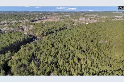 1651 Little Cedar Creek Road, Blythewood, SC 29016 - Photo 13