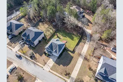 409 Maypop Lane, Irmo, SC 29063 - Photo 43