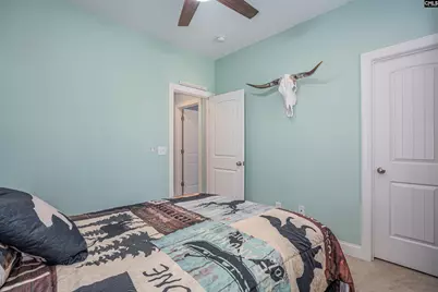 324 Brenthaven Drive, Chapin, SC 29036 - Photo 23