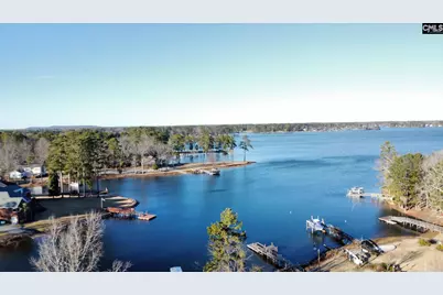 201 Old Cedar Point Road, Chapin, SC 29036 - Photo 7