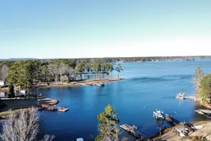 201 Old Cedar Point Rd, Chapin, SC 29036 - Photo 7