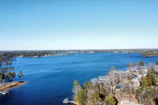 201 Old Cedar Point Rd, Chapin, SC 29036 - Photo 3