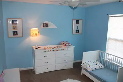 1193 Rabon Pond Drive, Columbia, SC 29223 - Photo 19