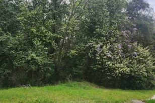 6430 Norris St, Columbia, SC 29209 - Photo 1