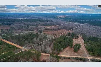 0 Swamp Rabbit Road, Leesville, SC 29070 - Photo 3