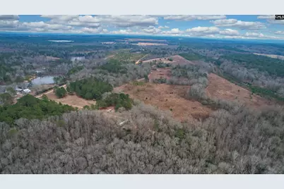 0 Swamp Rabbit Road, Leesville, SC 29070 - Photo 19